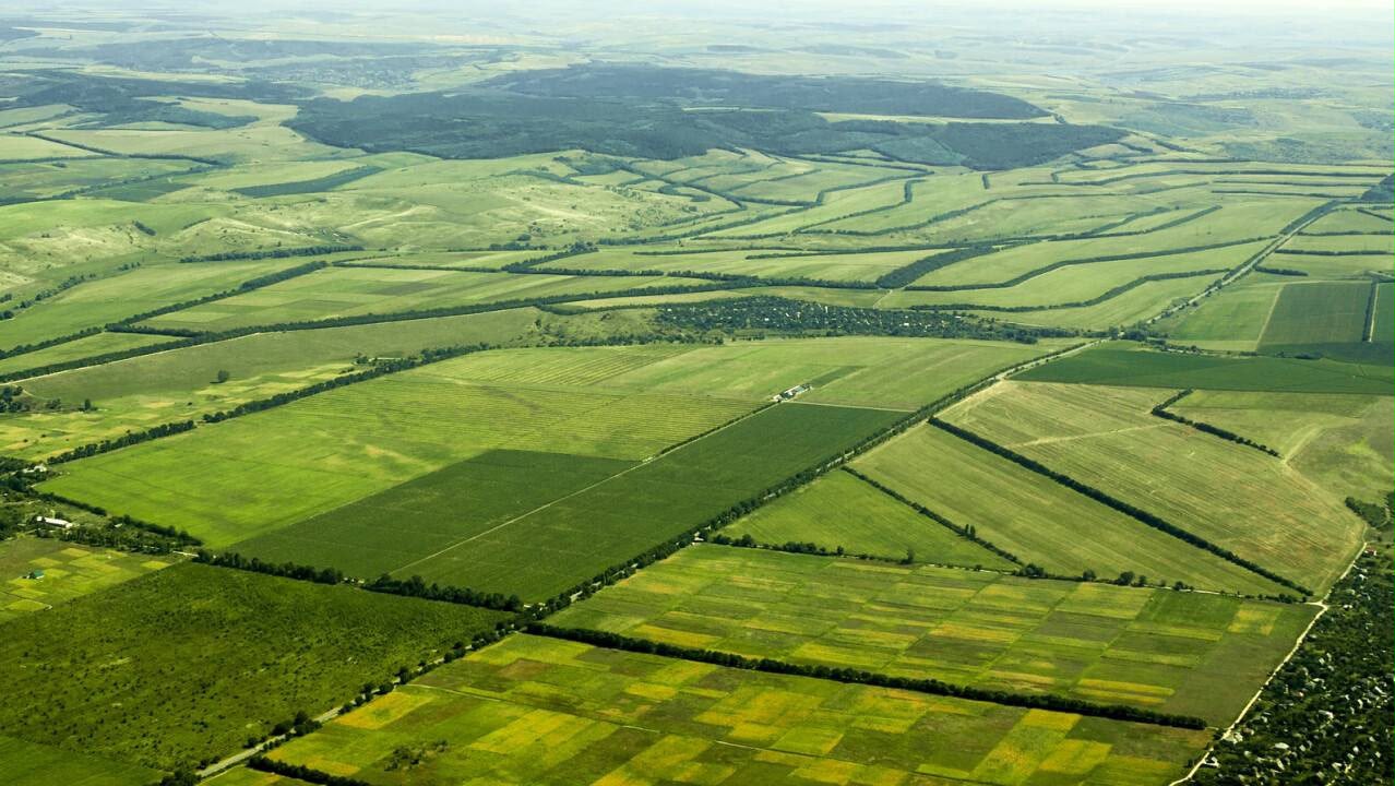 ОБ ИЗМЕНЕНИИ ДАТЫ ПРОВЕДЕНИЯ КОНКУРСА ПО ПРЕДОСТАВЛЕНИЮ ПРАВА АРЕНДЫ ЗЕМЕЛЬНЫХ УЧАСТКОВ СЕЛЬСКОХОЗЯЙСТВЕННОГО НАЗНАЧЕНИЯ
