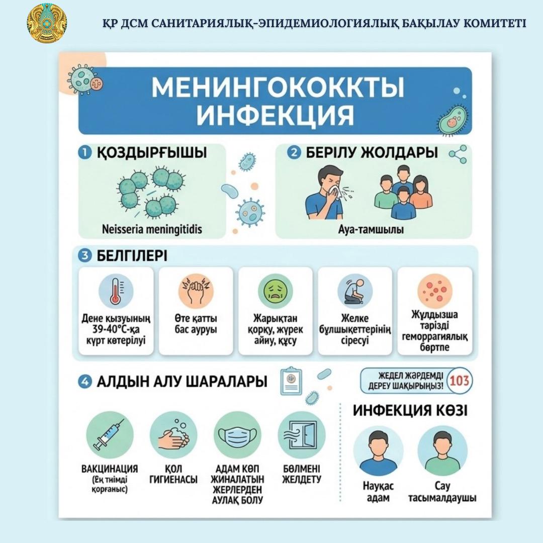 Менингококковая инфекция