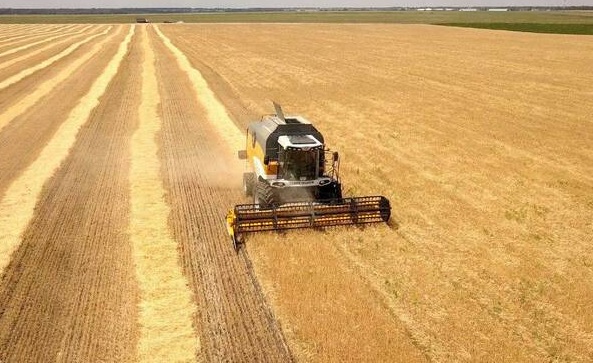 VAT Registration and Transition from the Special Tax Regime for Peasant Holdings