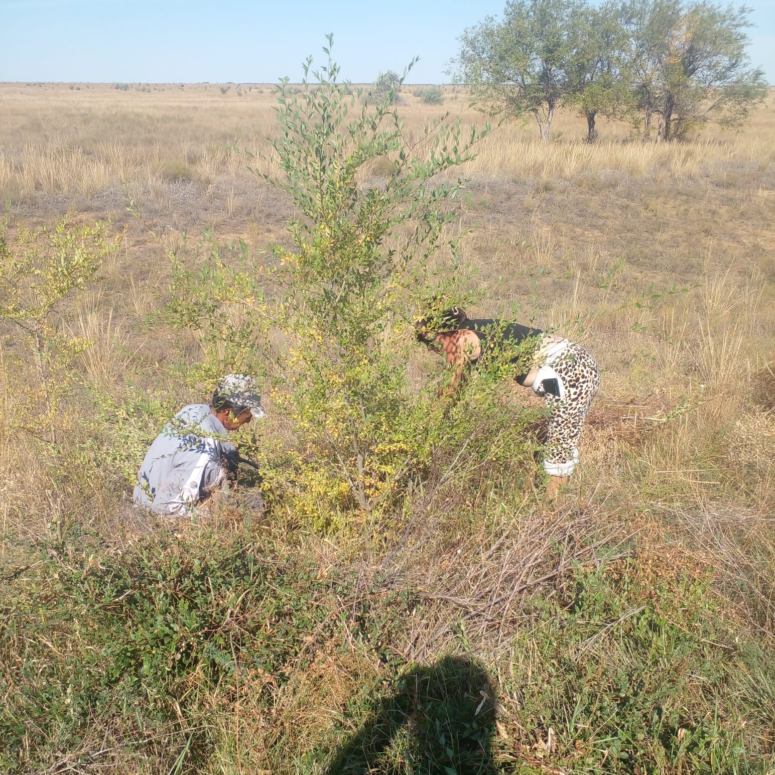 Уборка мусора
