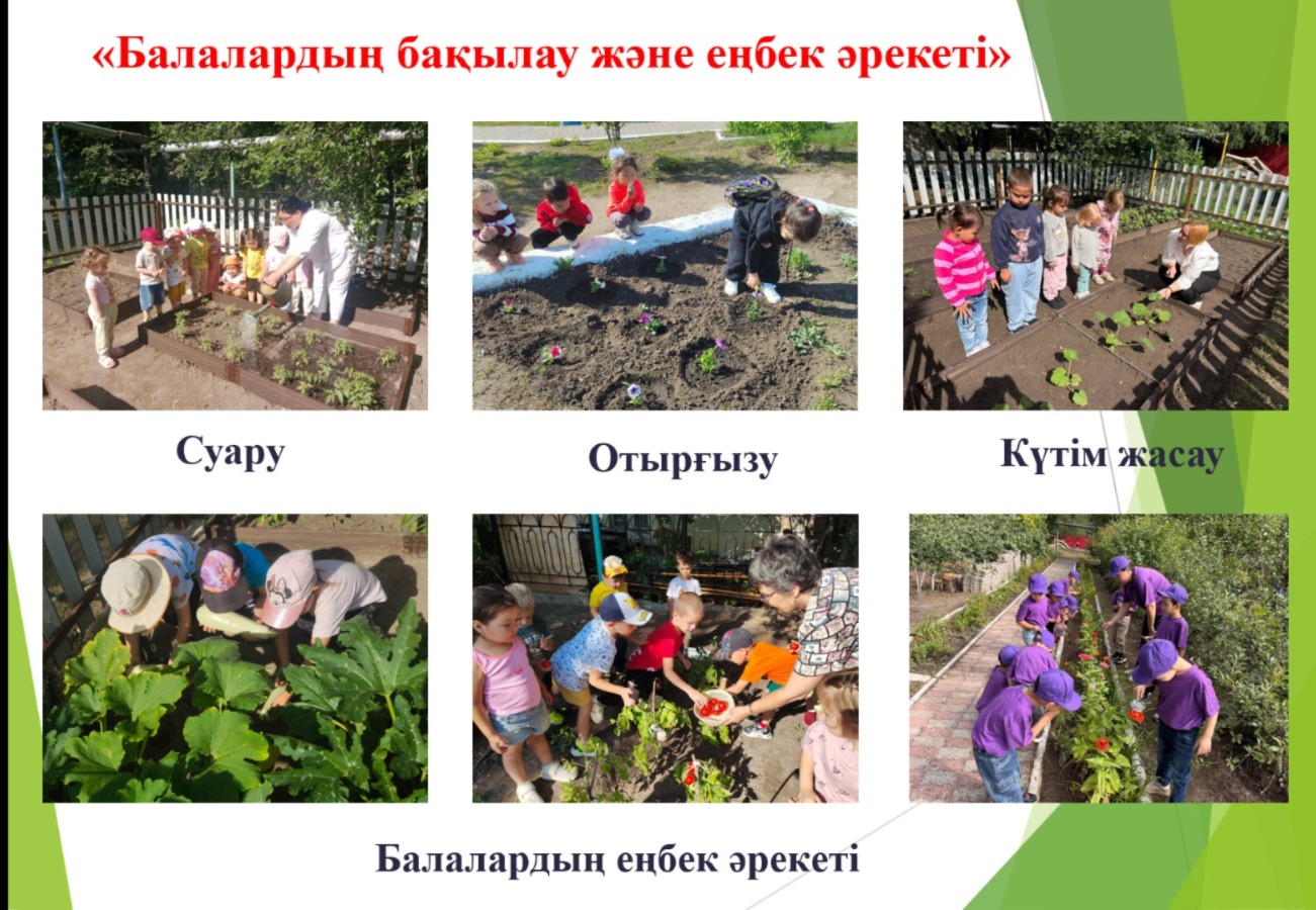 «Жер иесі» облыстық сырттай байқауының қорытындысы шығарылды