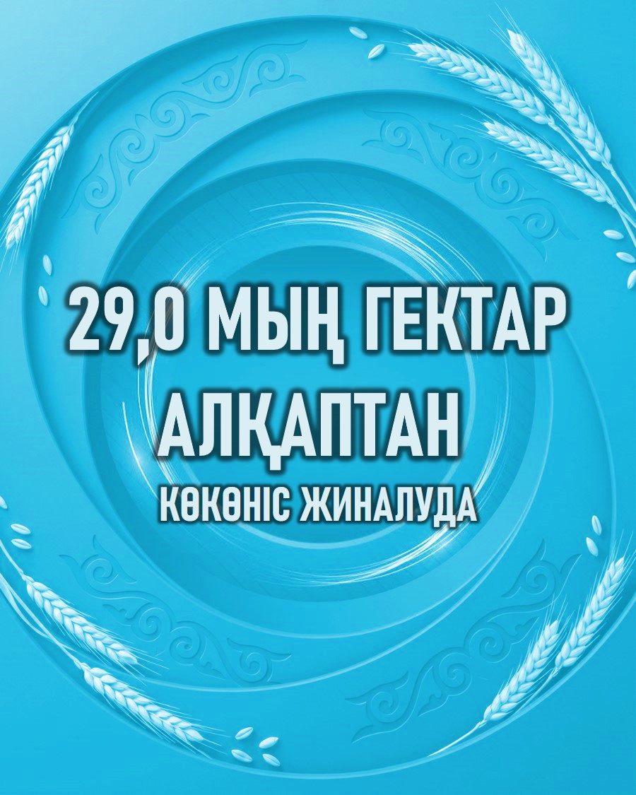 29,0 мың гектар алқаптан көкөніс жиналуда