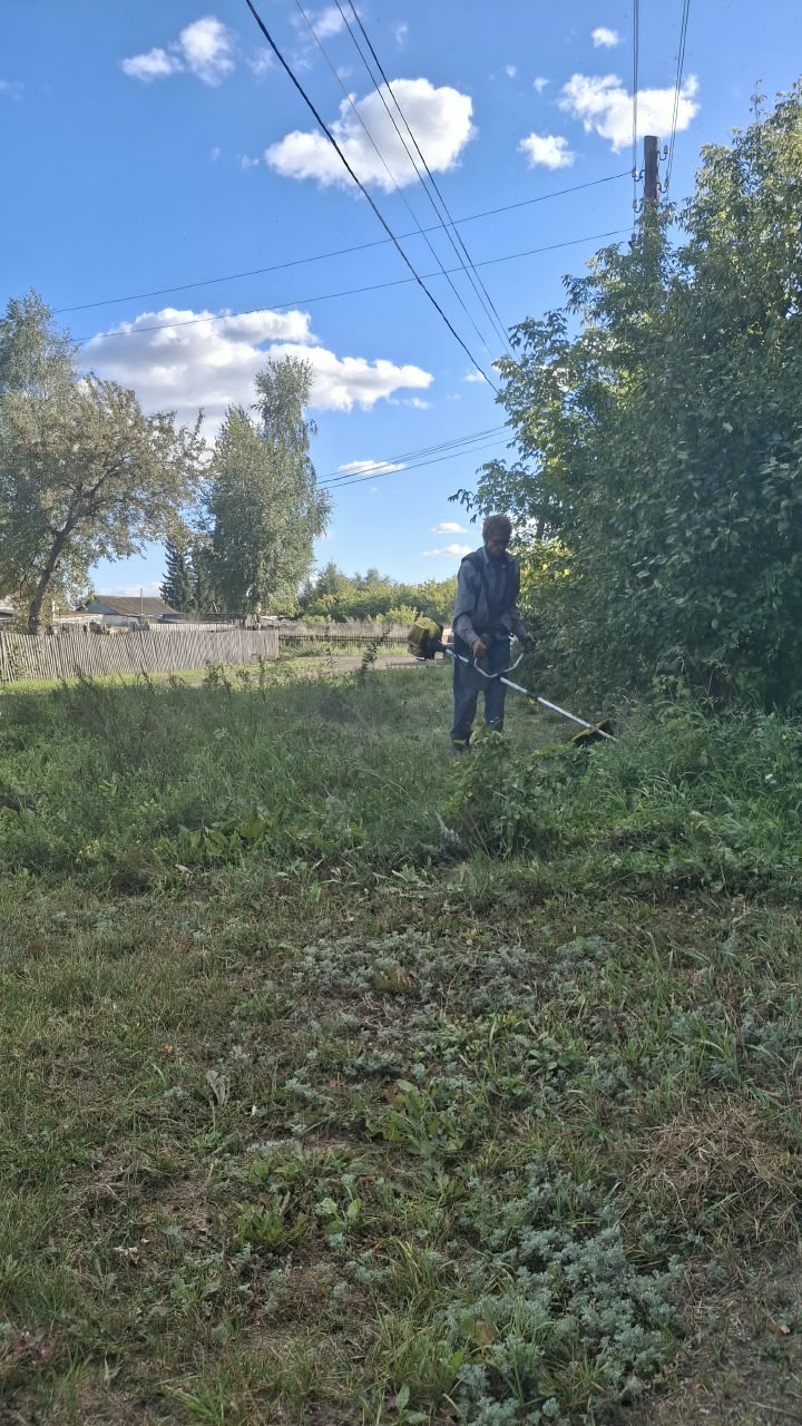 новости