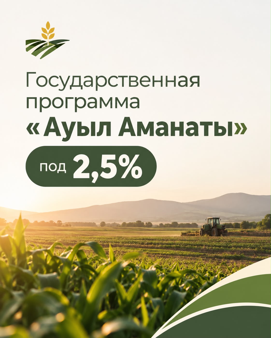 Микрокредитование проектов по программе Ауыл Аманаты