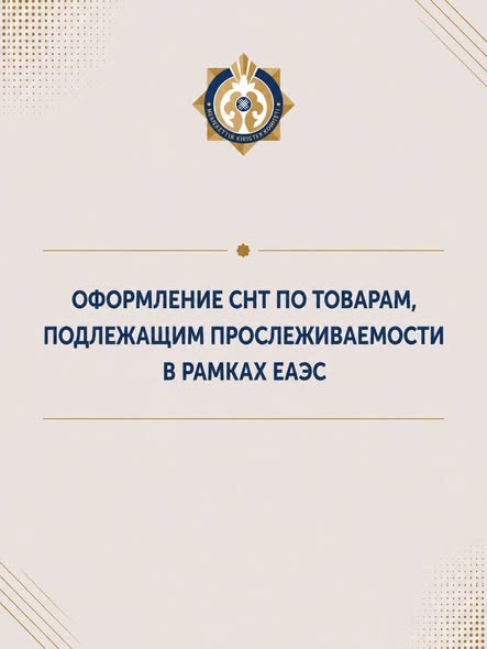 Оформление снт по товарам, подлежащим прослеживаемости в рамках ЕАЭС