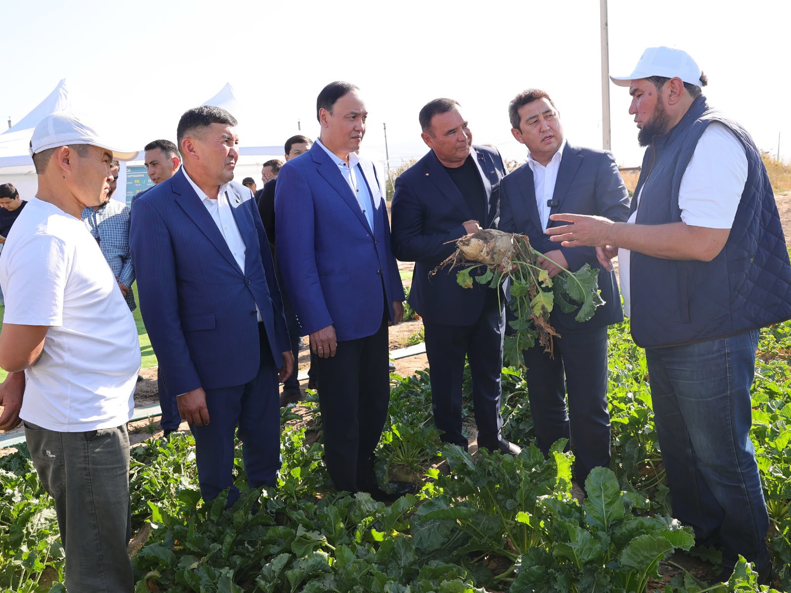 Айдарбек Сапаров Жамбыл облысындағы қант саласының дамуы және ауыл шаруашылығы өнімдерін қайта өңдеу барысымен танысты