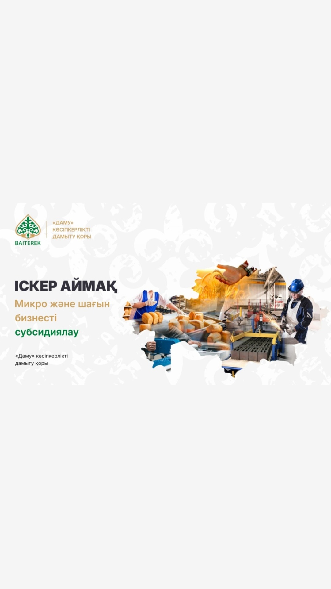 «Даму» қорының микро және шағын бизнесті субсидиялау бағдарламасы туралы баннер.