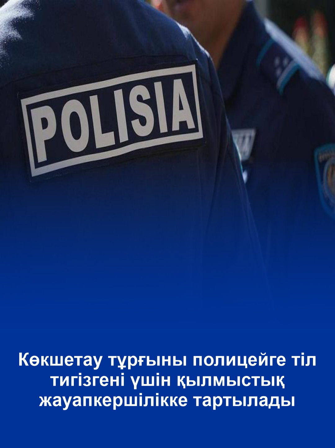 Жителю Кокшетау грозит уголовная ответственность за оскорбление полицейского