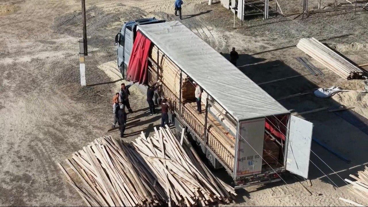 Ағаш тақталары тиелген жүк көлігі және жұмысшылар.
