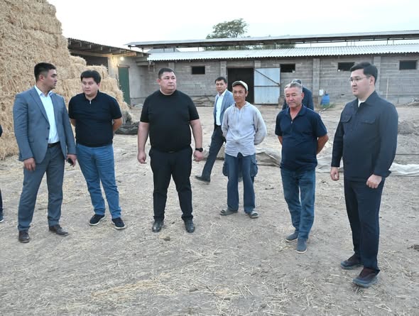 АУДАНДА ЕТ ӨНДІРІСІН АРТТЫРУ МҮМКІНДІКТЕРІ АРТЫП КЕЛЕДІ