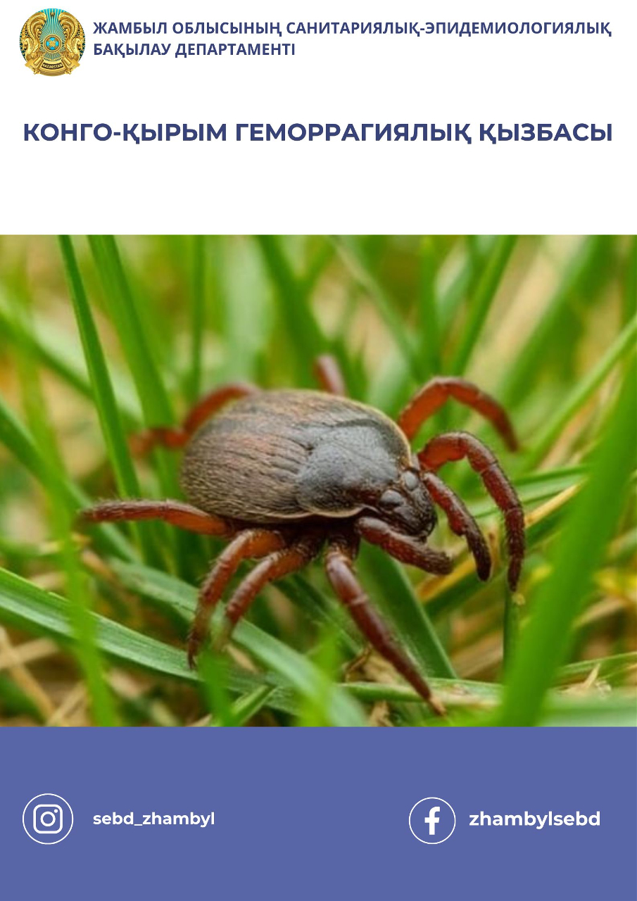 Профилактика Конго-Крымской геморрагической лихорадки