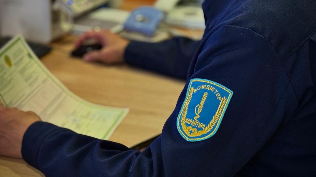 Батыс Қазақстанда 84,5 тонна залалданған өнімді ел аумағына кіргізуге жол берілмеді