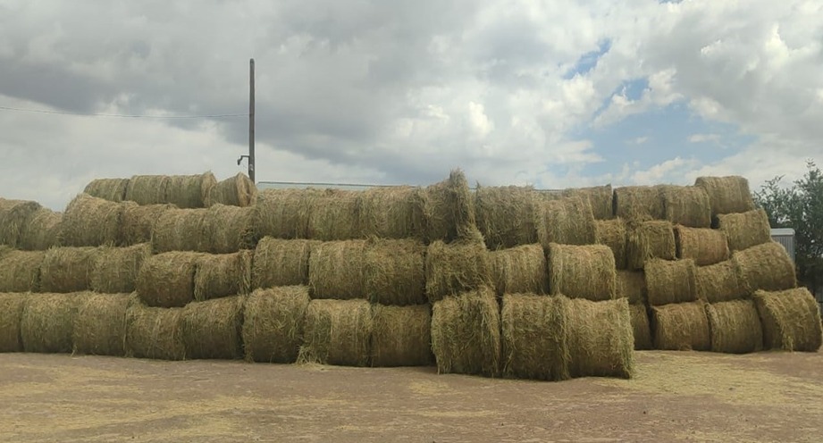 Winter Livestock Feed Preparation