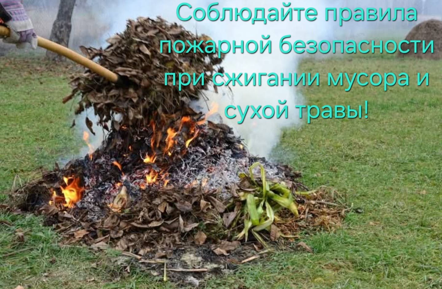 Қаратал ауданының төтенше жағдайлар бөлімі ескертеді    «Қоқыс пен құрғақ шөпті жағу үшін салынатын айыппұл»