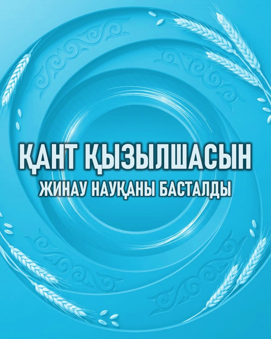 Қант қызылшасын жинау науқаны басталды
