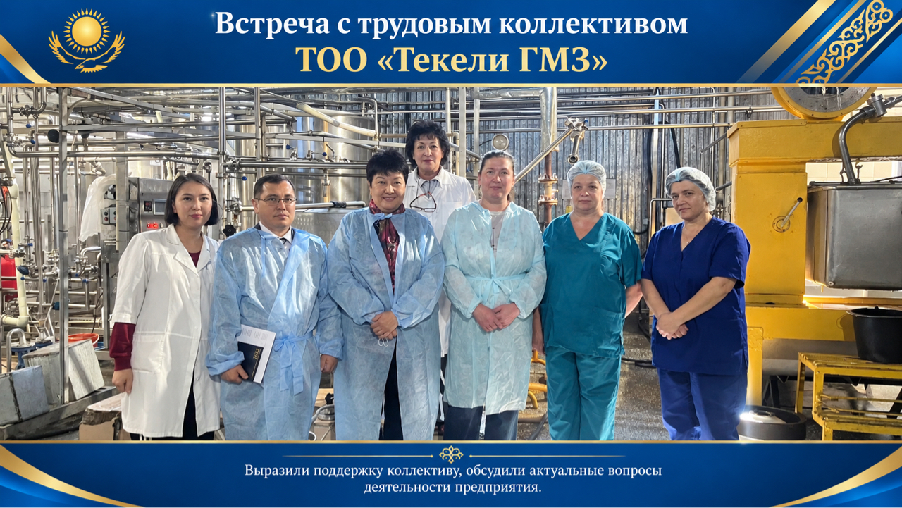 Отзыв и пожелания заместителя директора ТОО «Текели ГМЗ»