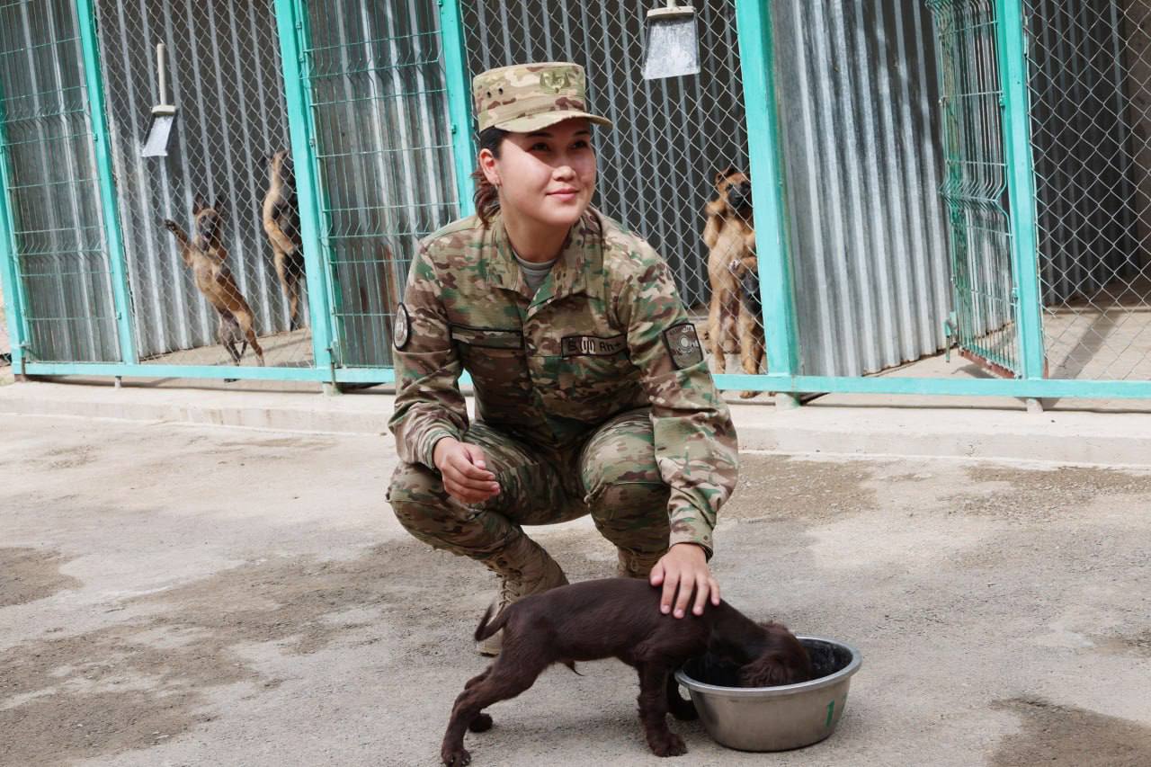 Woman Canine Handler Begins Training Dogs at National Guard Kennel for the First Time