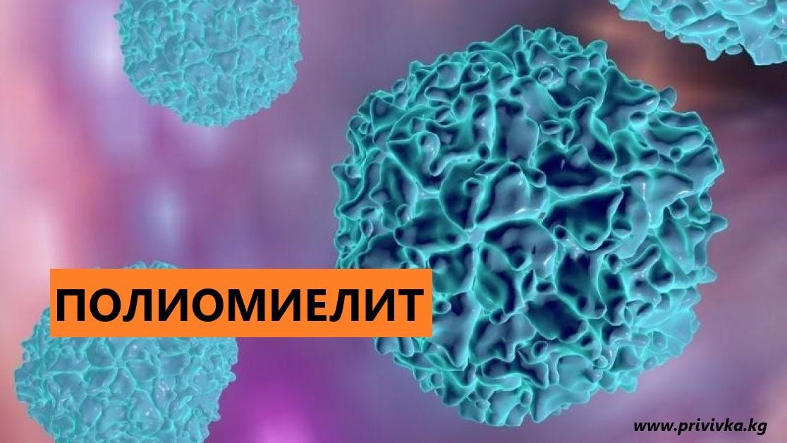 Профилактика полиомиелита