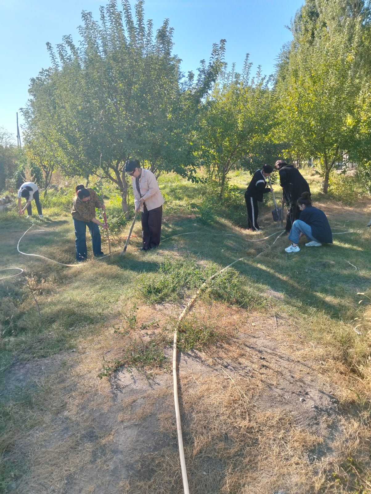 «ONE SEED – ONE TREE – ONE FUTURE» («Бір дән – бір ағаш – бір болашақ») республикалық экологиялық акциясы
