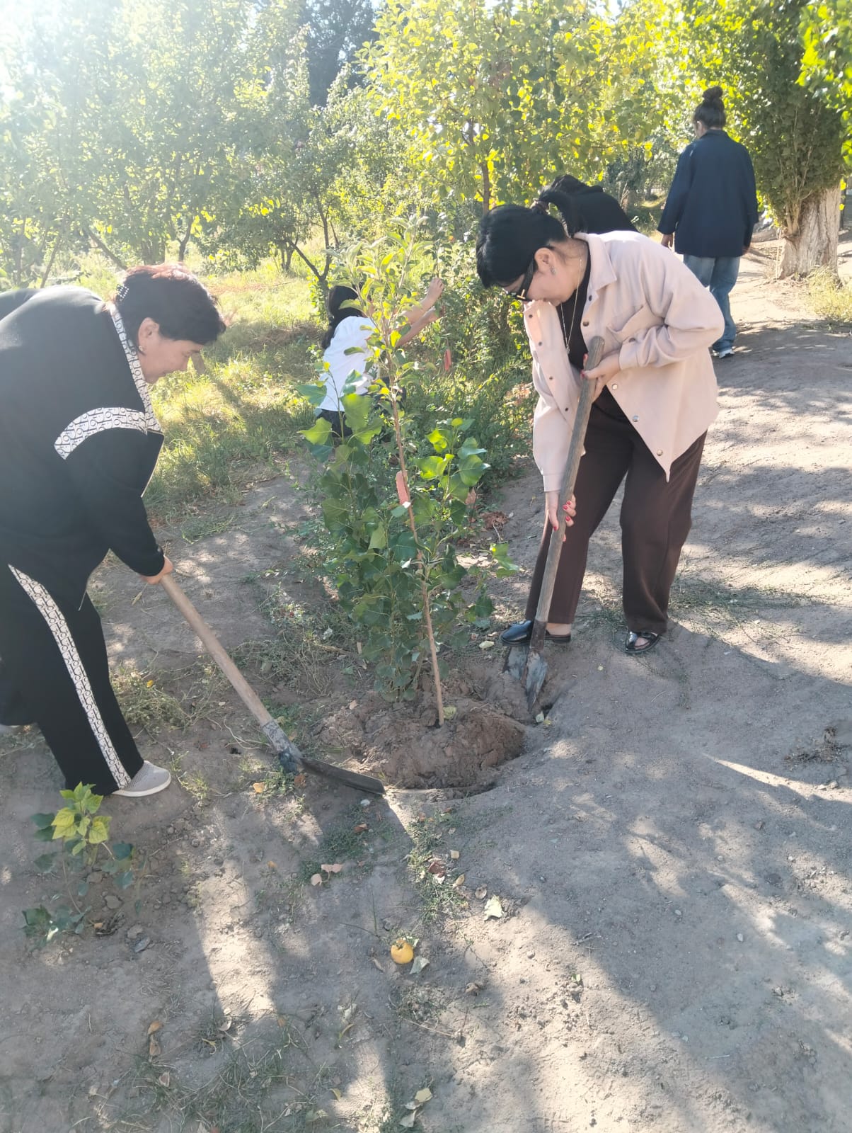 «ONE SEED – ONE TREE – ONE FUTURE» («Бір дән – бір ағаш – бір болашақ») республикалық экологиялық акциясы