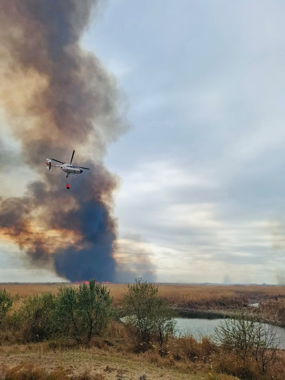 В Жетісу продолжается борьба с природным пожаром