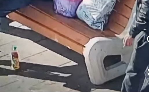 Чистота города начинается с каждого из нас