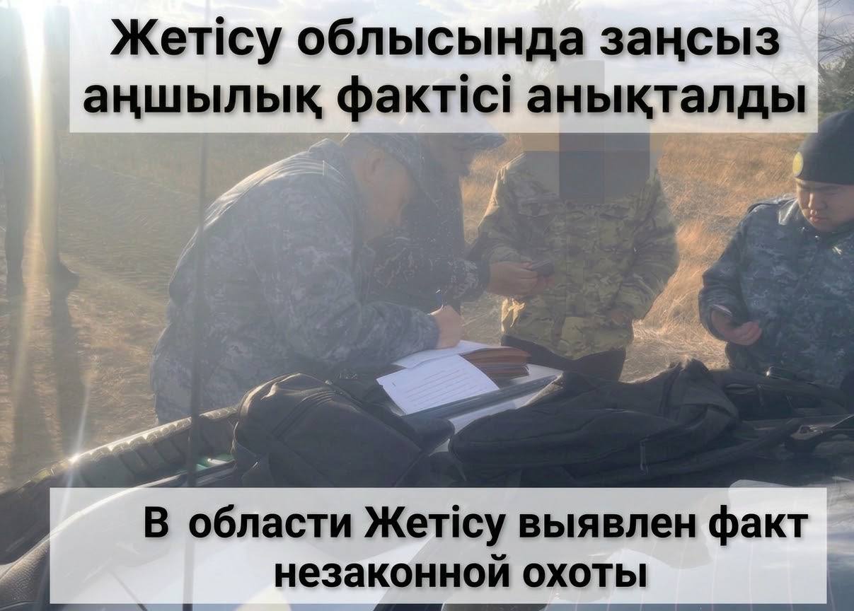 Жетісу облысында заңсыз аңшылық фактісі анықталды