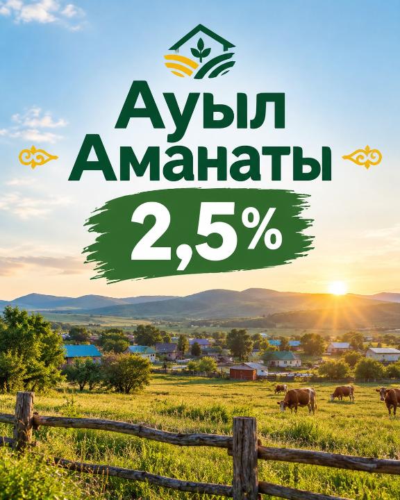 Микрокредитование проектов по программе Ауыл Аманаты