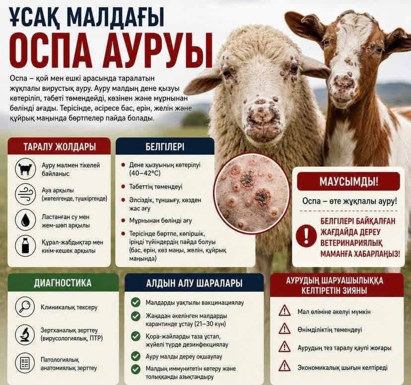Болезнь оспы