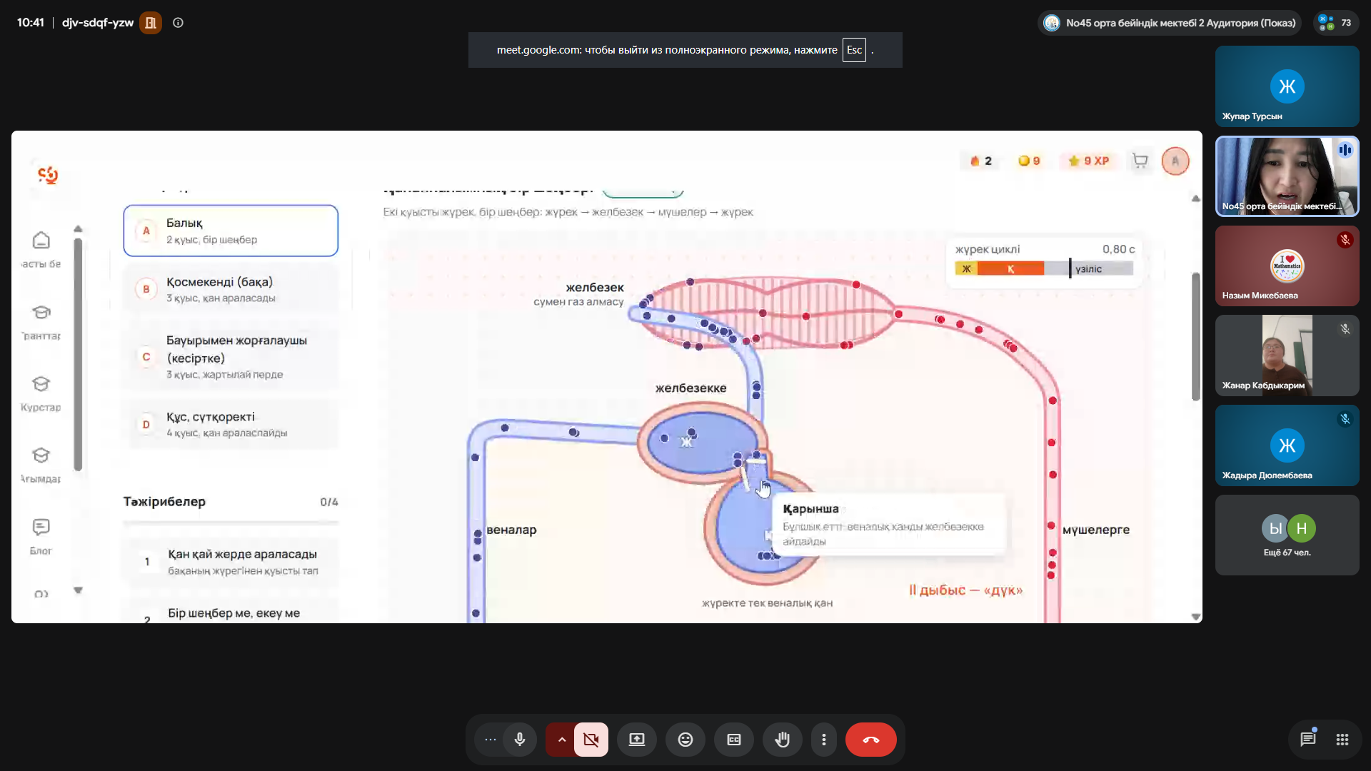 Google Meet платформасындағы балық жүрегінің құрылысы мен қан айналымы бейнеленген интерактивті сабақ скриншоты.