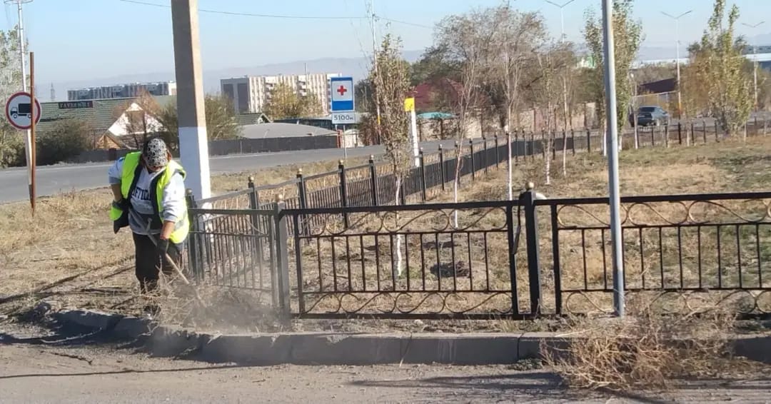Ақылы қоғам жұмысшылары