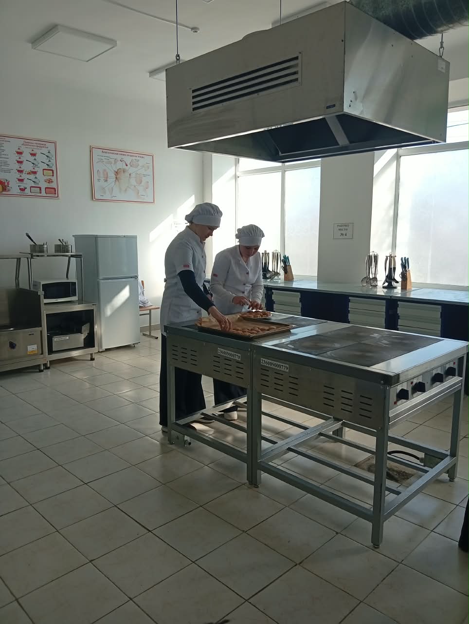 Getting acquainted with professions through practice