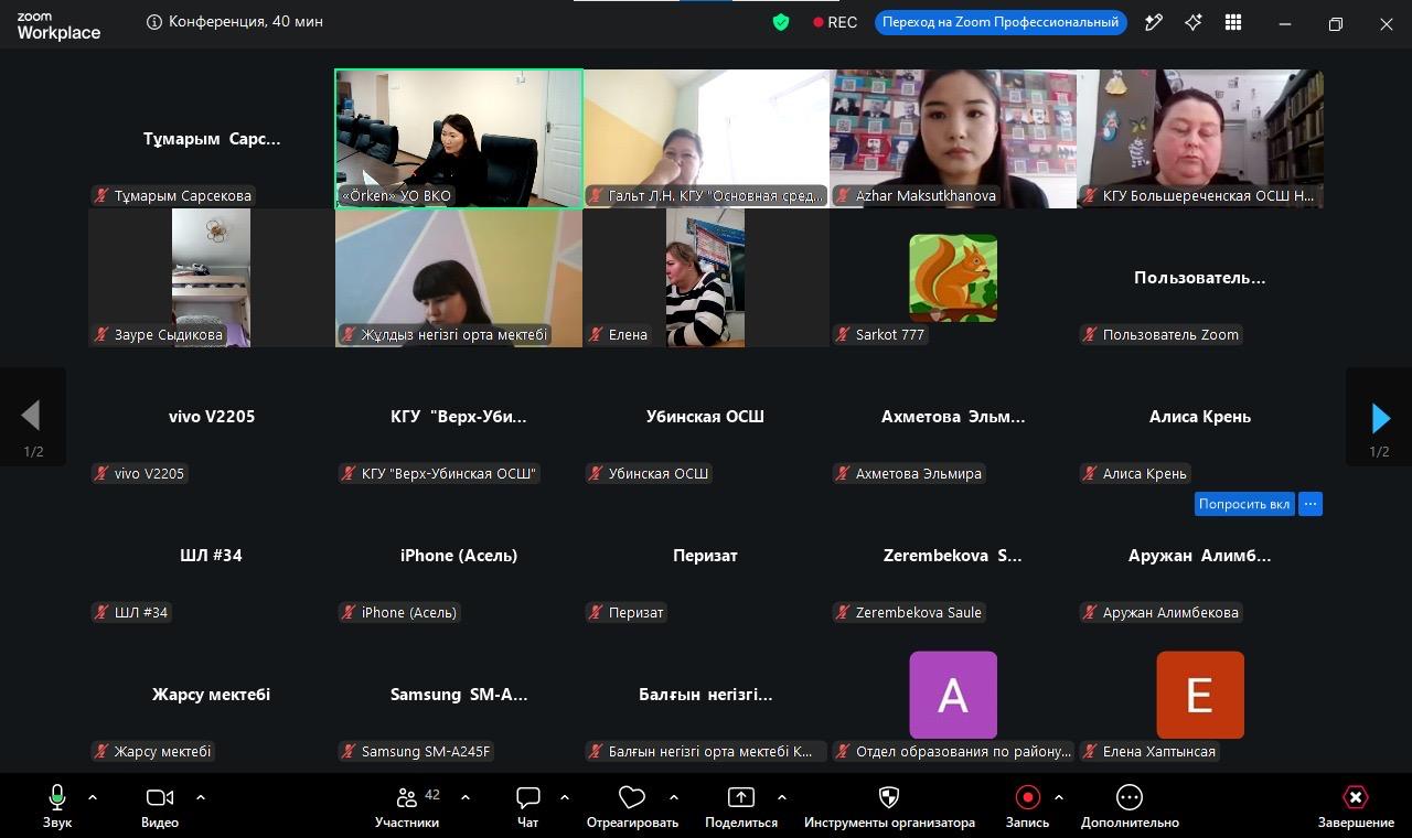 Zoom платформасындағы бейнеконференцияның скриншоты: қатысушылардың тор көзді көрінісі.
